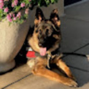 Meet your Posher, Ratkity